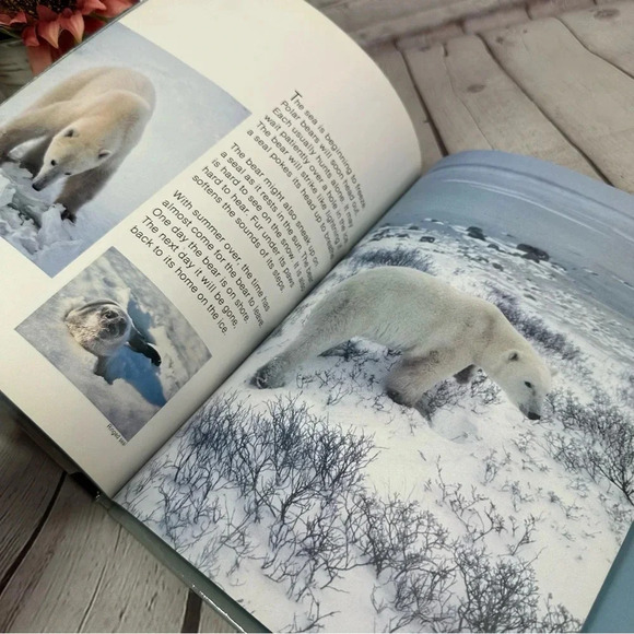 vintage penquins and polar bears animals of ice and snow children's book 1985 - Picture 7 of 7